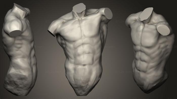 Анатомия скелеты и черепа (ИССЛЕДОВАНИЕ ТУЛОВИЩА, ANTM_1126) 3D модель для ЧПУ станка